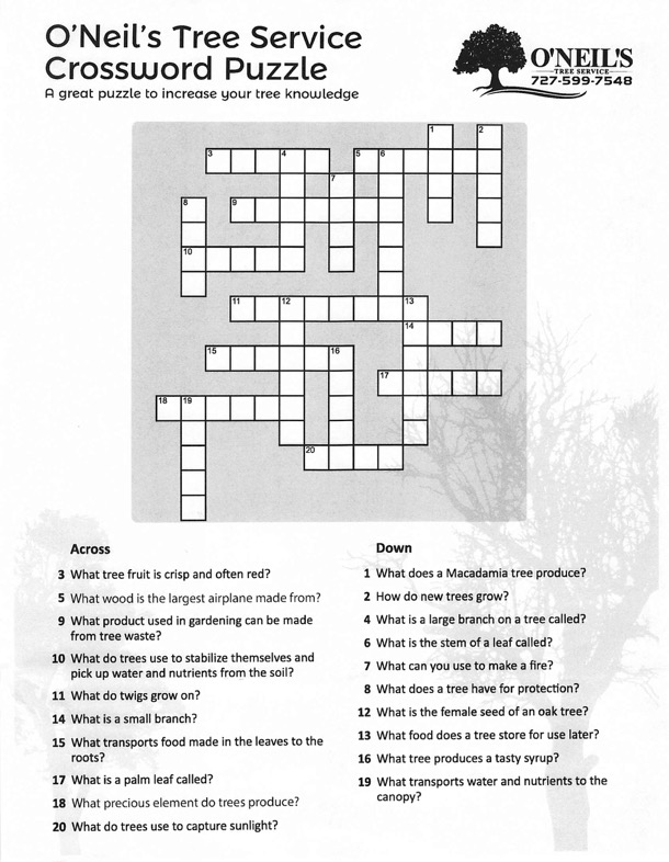 Tree Crossword Puzzle Oneil s Tree Service