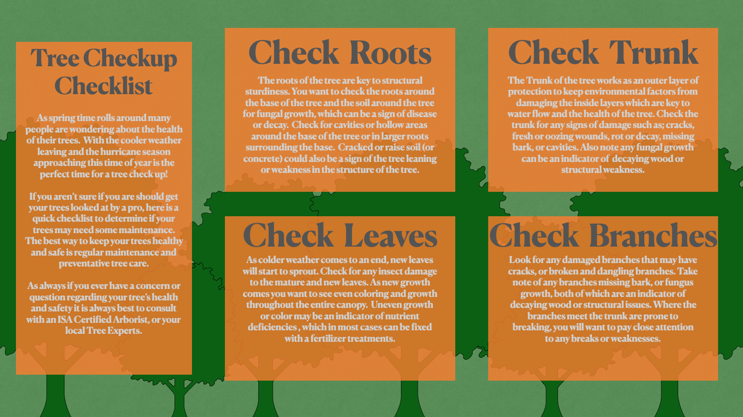 Tree Check Up Checklist