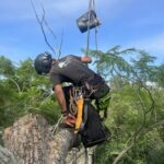 Tree trimming company with professional crew and safety equipment