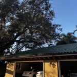 After pruning, the live oak branch was lifted off the roof and the canopy raised safely by O’Neil’s Tree Service