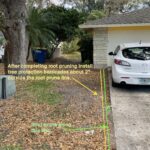Annotated photos for tree preservation plan