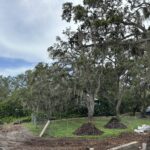 Tree preservation barricades during residential construction