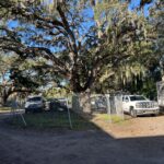 Chain link fencing protecting tree critical root zone Tampa construction site